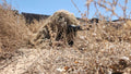 Spec-Ops Multicam Alligator Style Ghillie Hood With Cape (Fully Garnished)